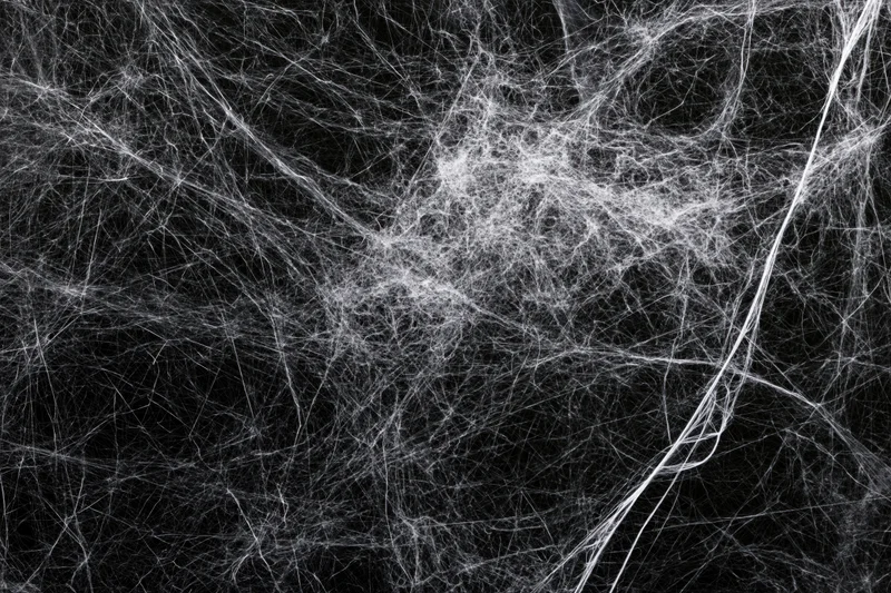 Tangled white cobwebs spread across a flat black background