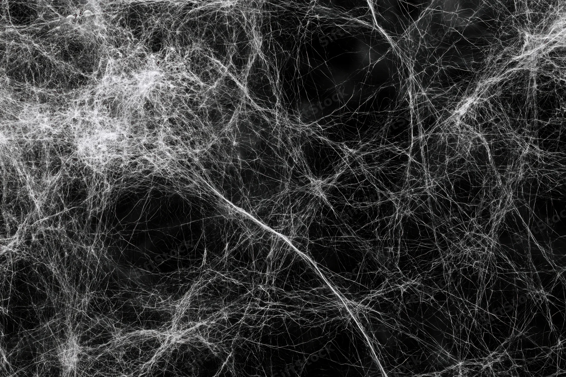 Tangled white cobwebs spread across a flat black background