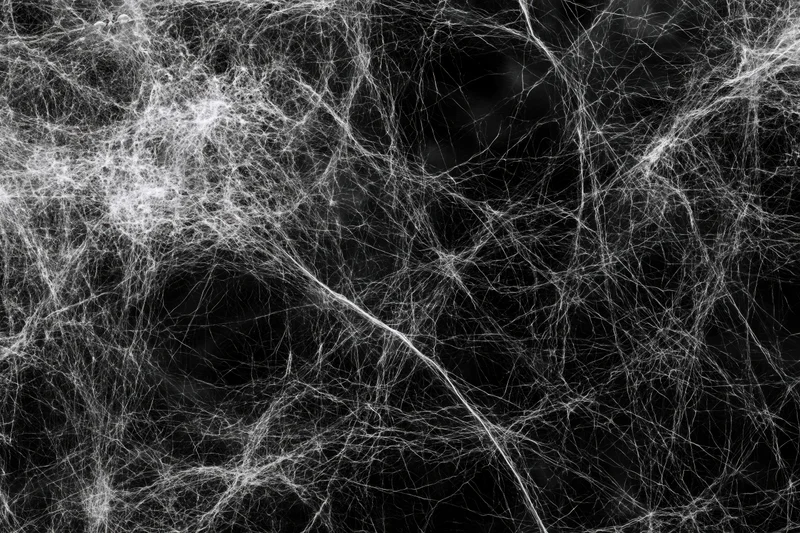 Tangled white cobwebs spread across a flat black background