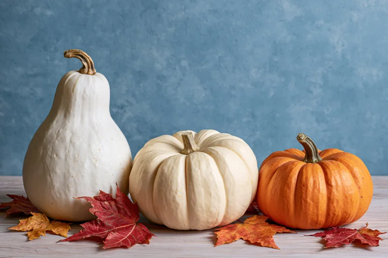 Three pumpkins and squash arranged in a row with autumn leaves on a wooden surface