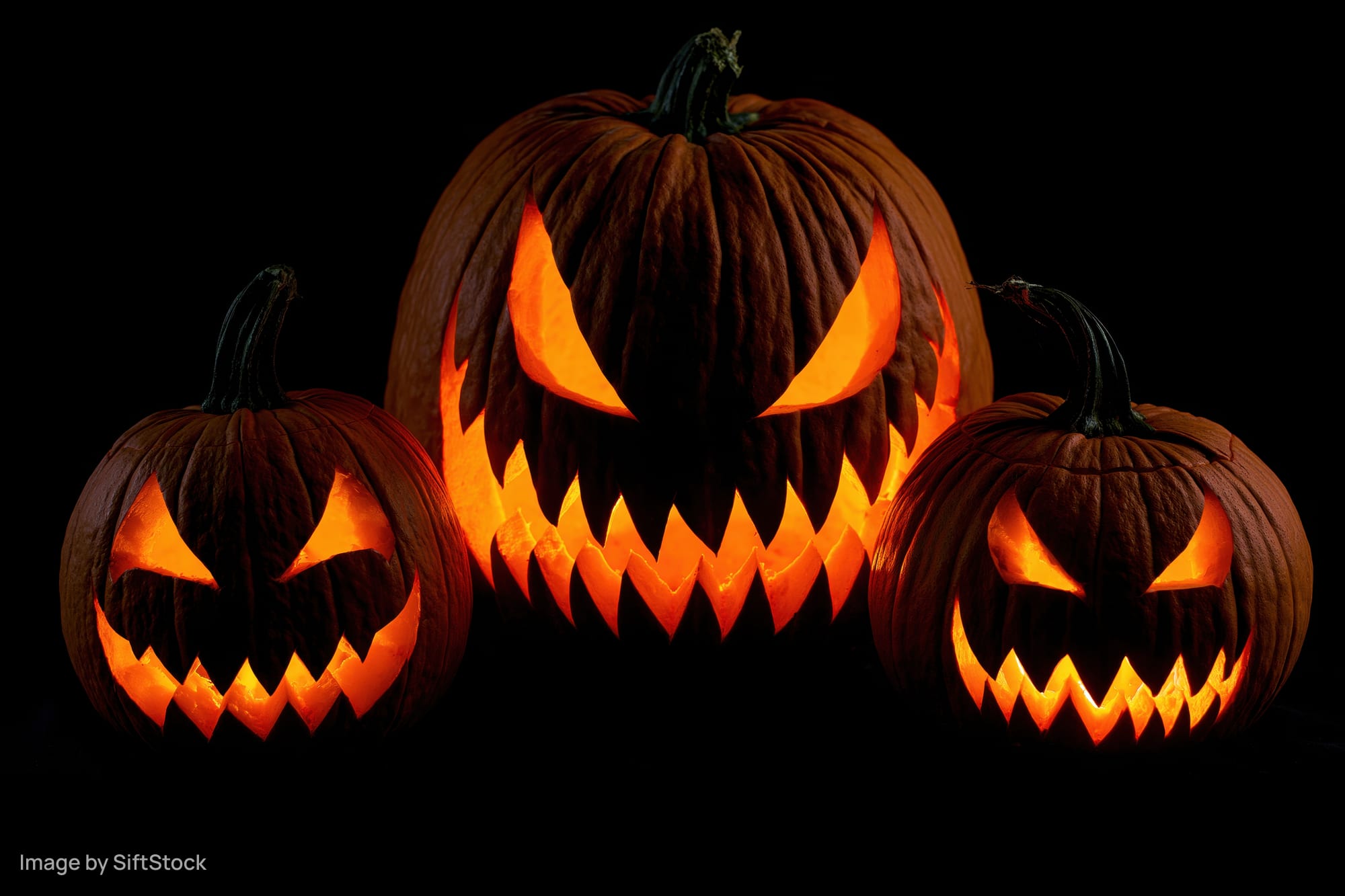 Three carved jack-o-lanterns glowing with orange light against a black background