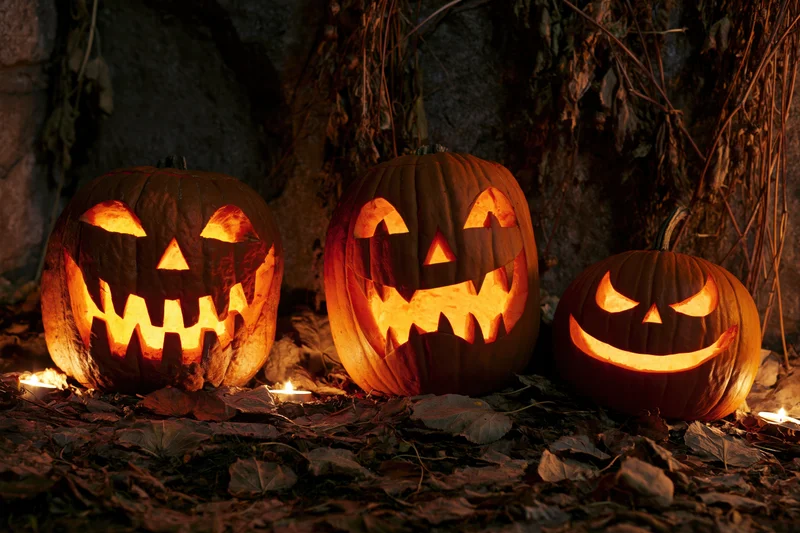 Three carved jack-o-lanterns glowing with candles on a leaf-covered ground near a stone wall at night