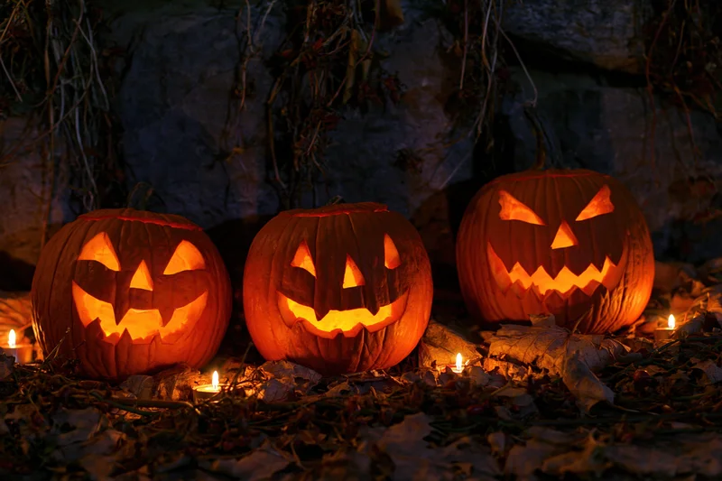 Three carved pumpkins glowing with candles in a dark garden surrounded by leaves and vines