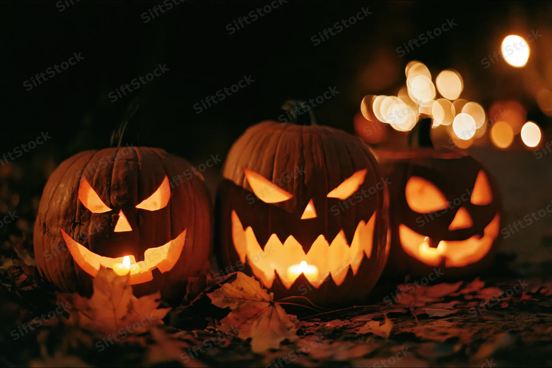 Three carved jack-o-lanterns glowing with candles on leaf-covered ground at night