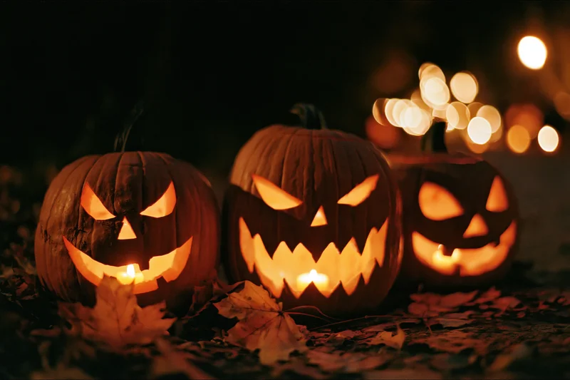 Three carved jack-o-lanterns glowing with candles on leaf-covered ground at night