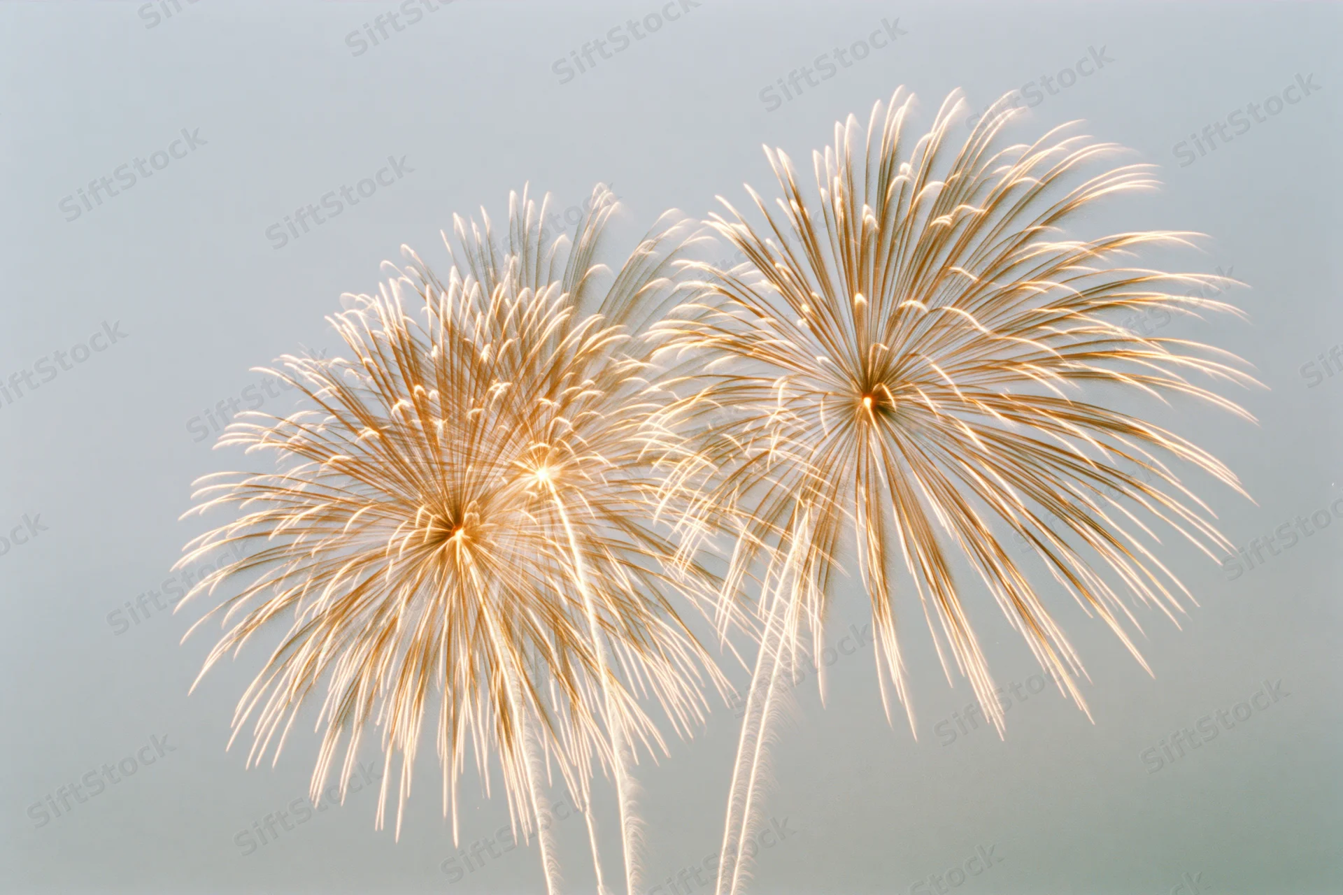 Two golden fireworks bursting in the sky at night