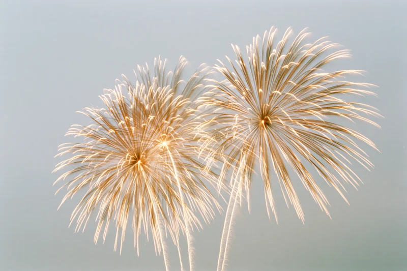 Two golden fireworks bursting in the sky at night