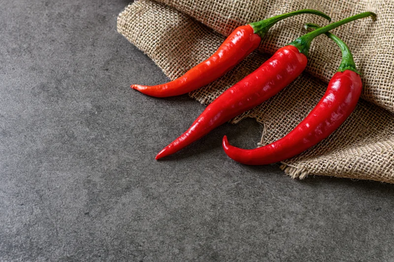 Three red chili peppers resting on torn burlap cloth on gray stone surface