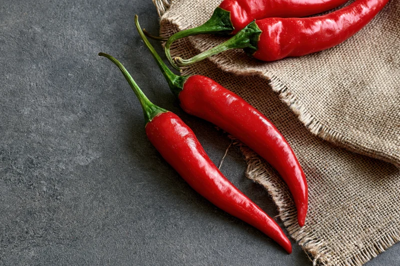 Red chili peppers resting on torn burlap cloth on dark surface
