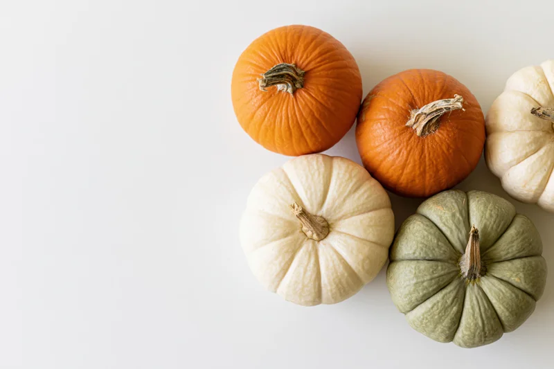 Five small decorative pumpkins arranged in upper right corner on white surface