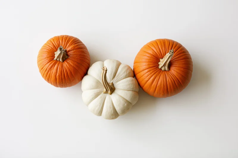 Three small decorative pumpkins arranged on a white surface in a flat lay composition