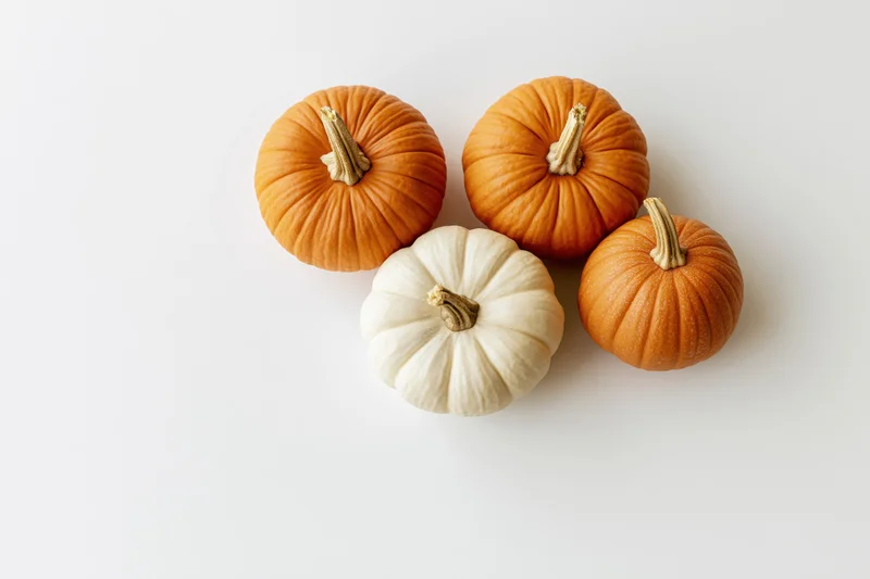 Four small pumpkins arranged in a loose cluster on a white surface