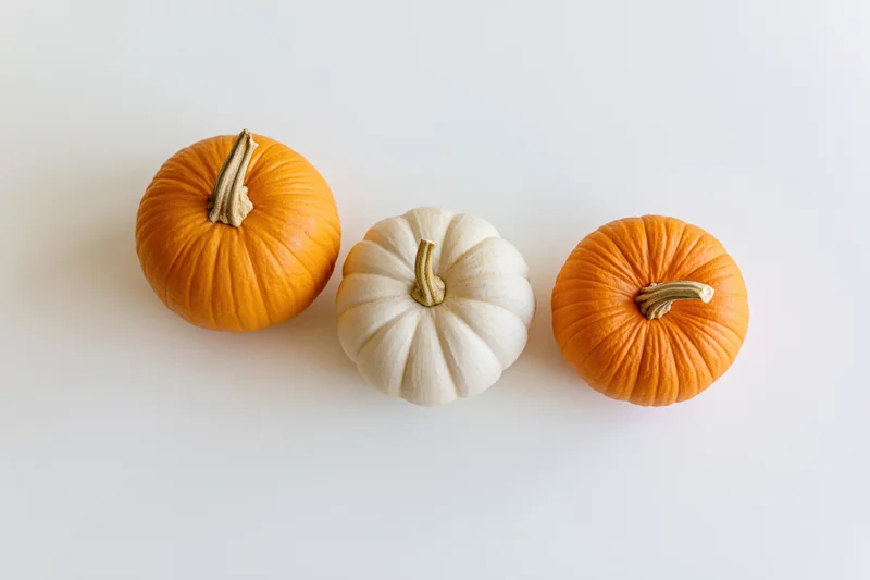 Three small decorative pumpkins arranged in a row on a white surface