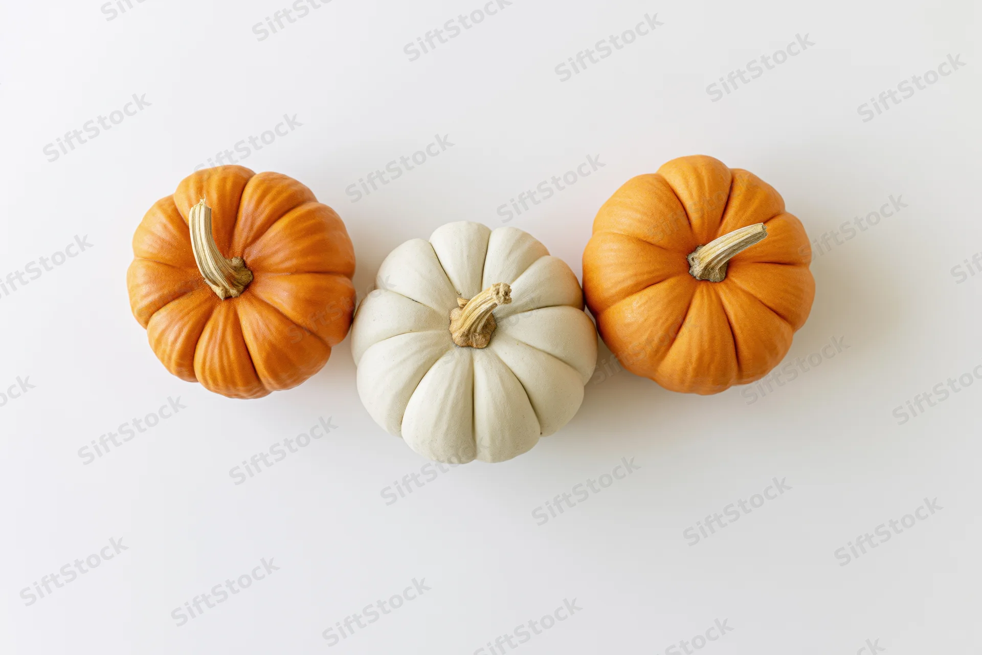 Three small decorative pumpkins arranged in a row on a white surface