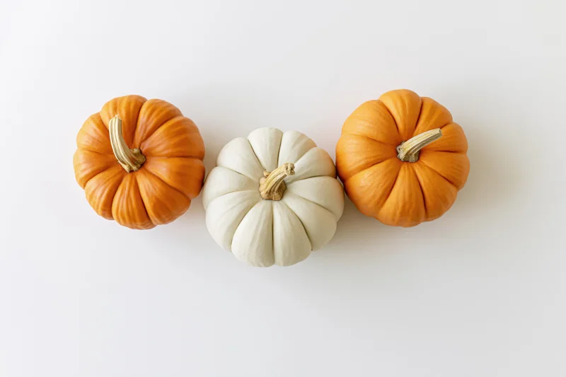 Three small decorative pumpkins arranged in a row on a white surface