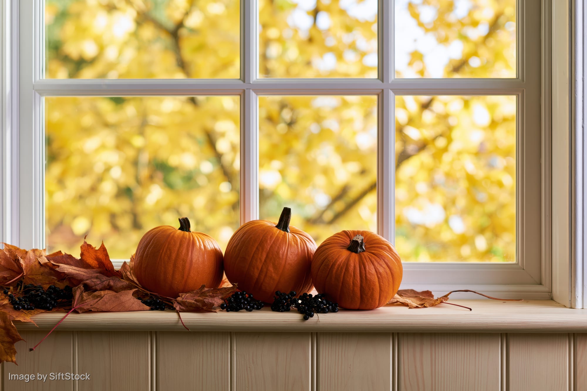 Three small orange pumpkins arranged on a wooden windowsill with autumn leaves and berries, viewed through a white-framed window with yellow foliage outside