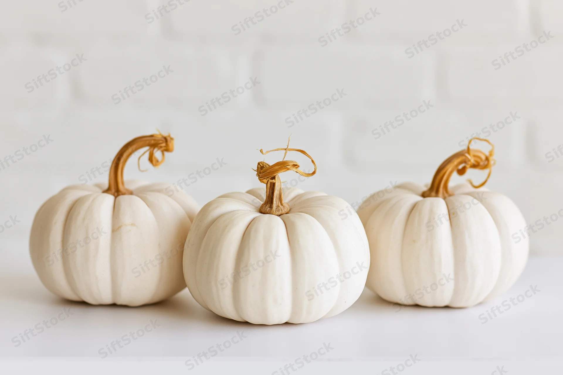 Three small white pumpkins arranged in a row on a white surface against a white brick wall