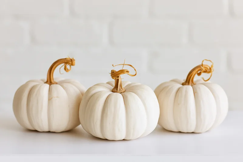 Three small white pumpkins arranged in a row on a white surface against a white brick wall