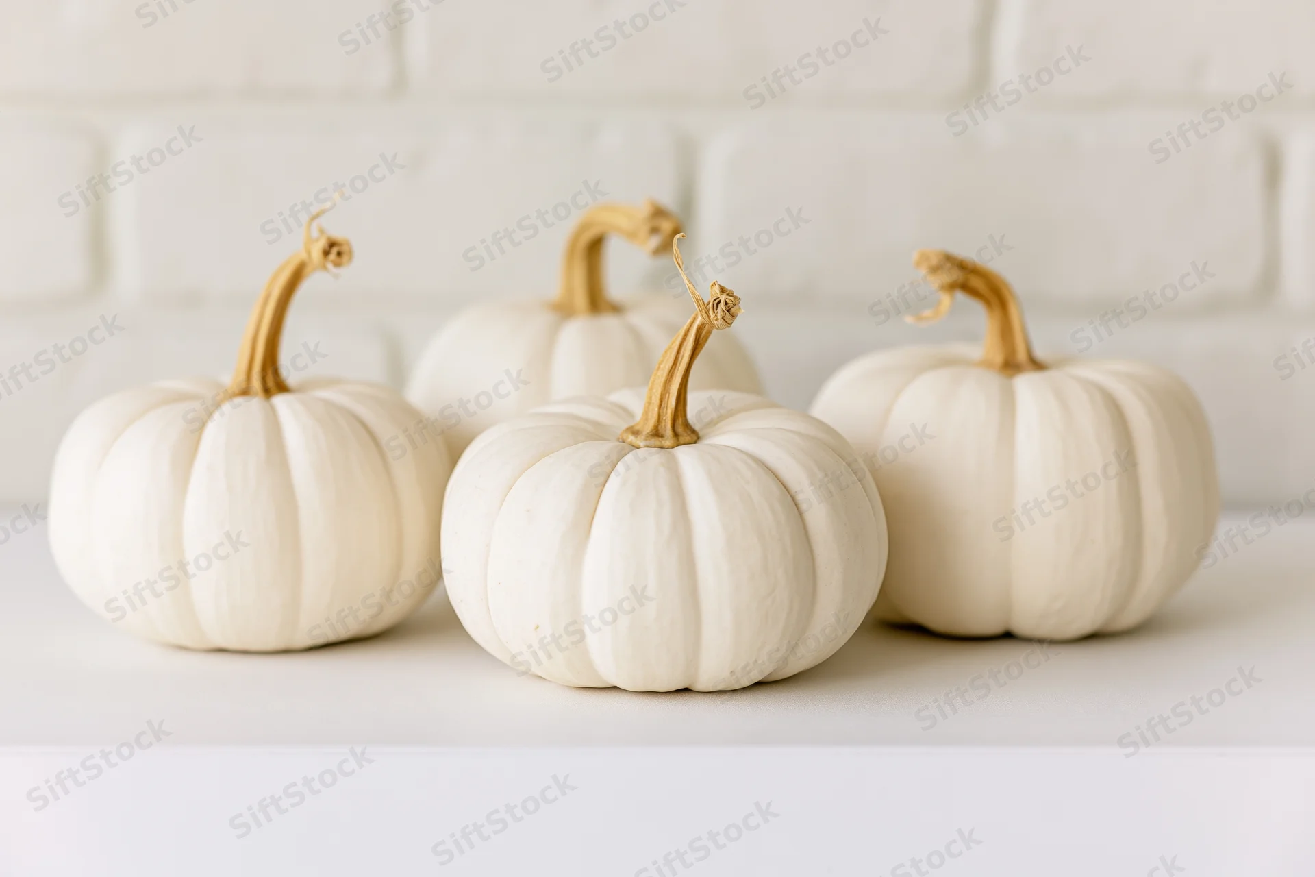 Four small white pumpkins arranged in a row on a white surface against a white brick wall