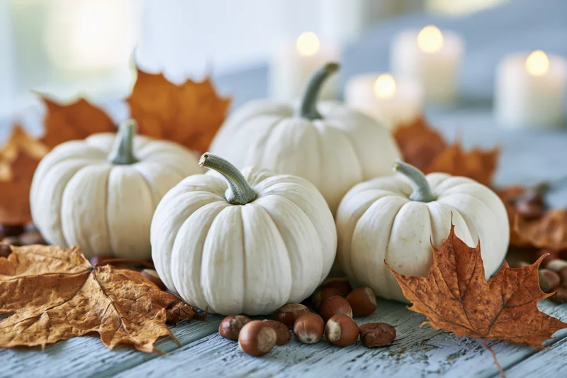 White pumpkins arranged with dried maple leaves and hazelnuts on a blue-grey wooden table with lit candles in the background