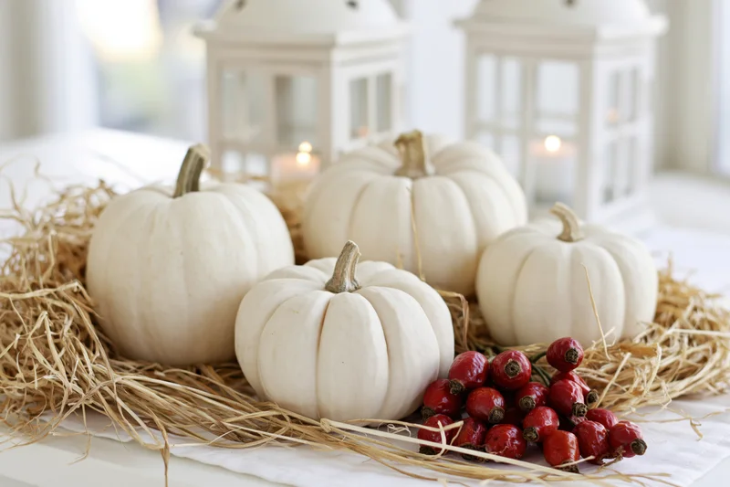 White pumpkins arranged on hay with red berries and lanterns on a table