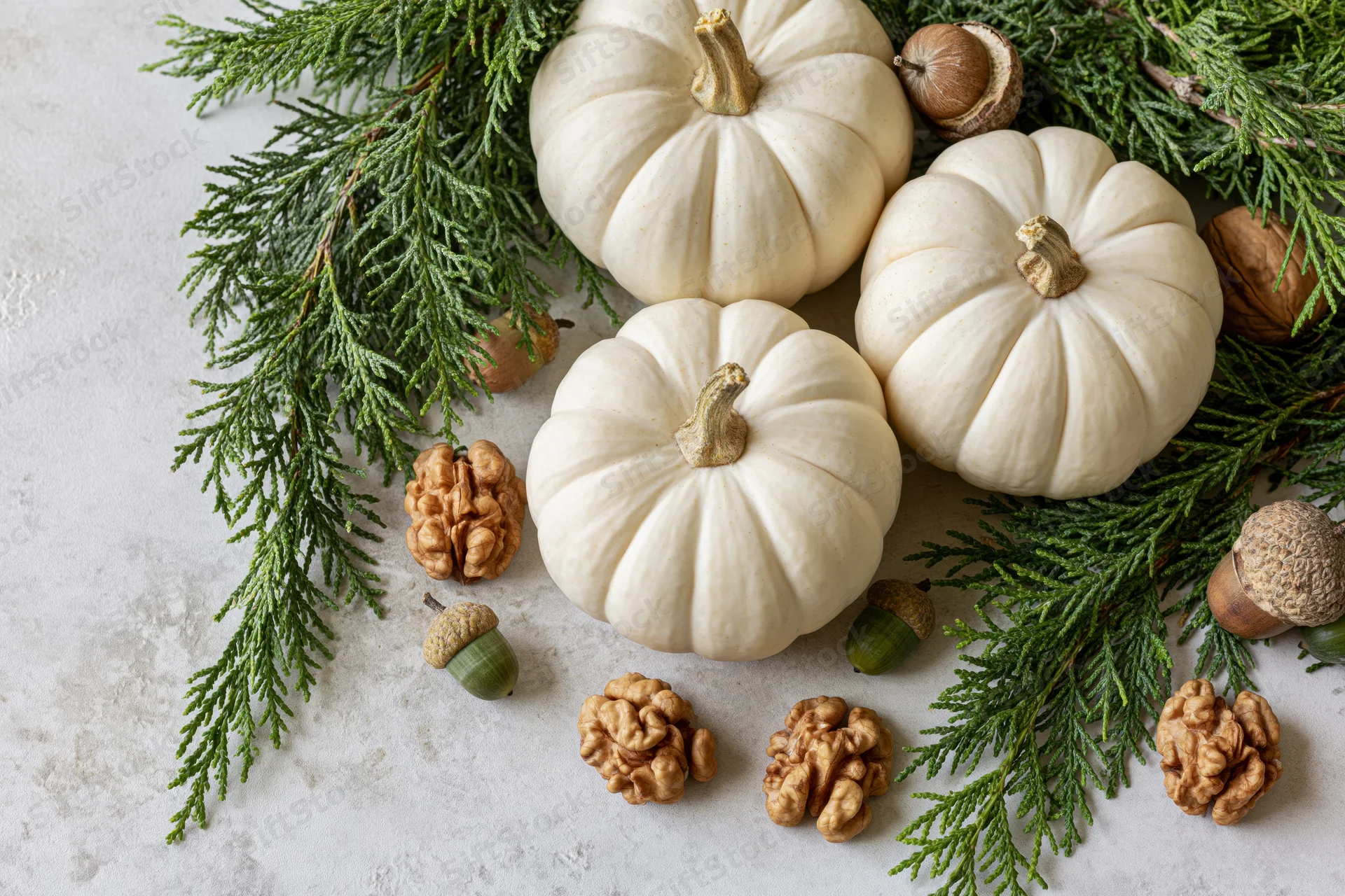 Three small white pumpkins arranged with evergreen cypress branches and nuts on a textured surface