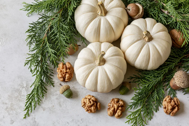 Three small white pumpkins arranged with evergreen cypress branches and nuts on a textured surface