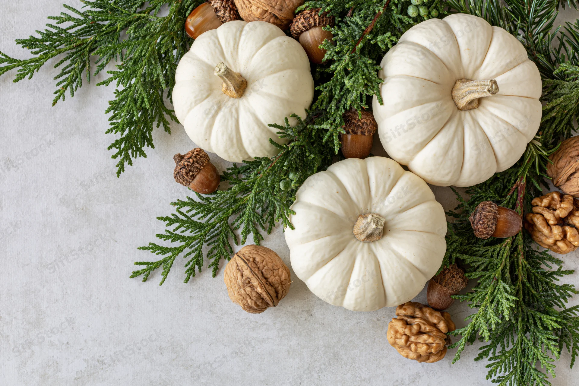 Three small white pumpkins arranged with evergreen cypress branches and acorns on a light surface