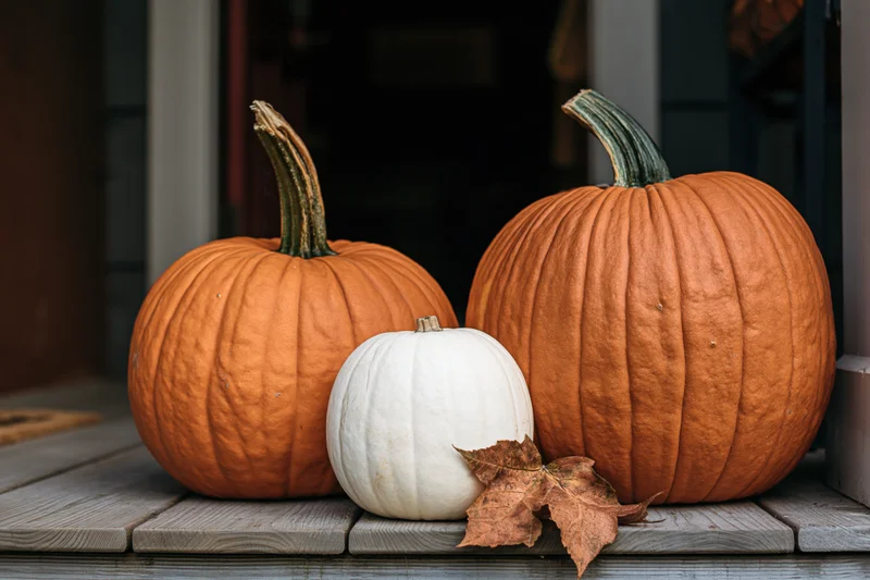 Three pumpkins arranged on a wooden porch step with a dried leaf