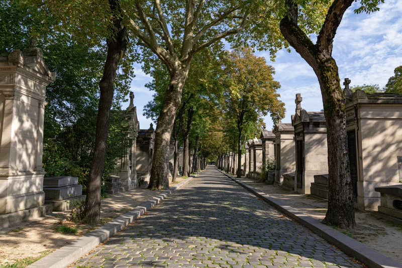 Tree-lined cobblestone path through historic parisian cemetery with mausoleums and autumn foliage