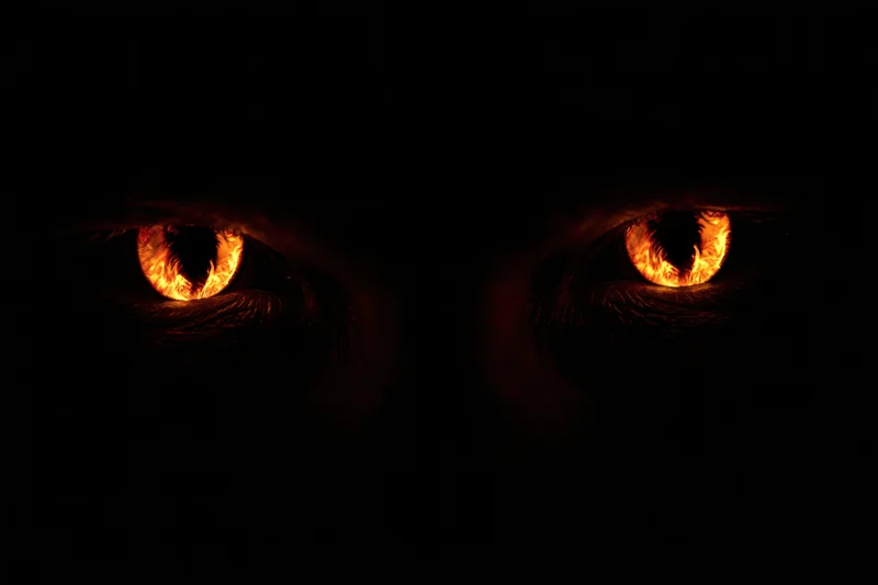 Glowing amber eyes staring from darkness