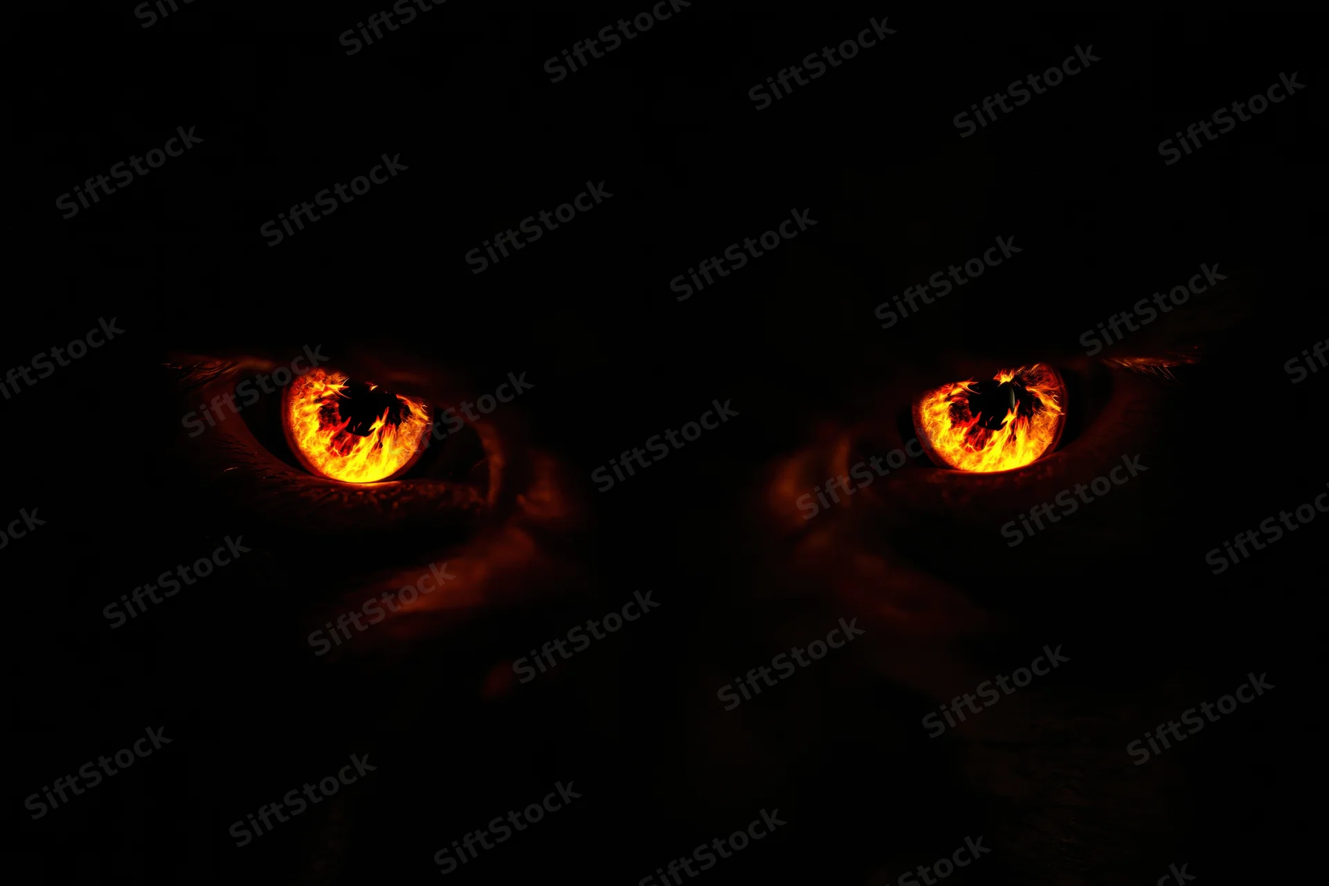 Glowing amber eyes of a cat in complete darkness, close-up view
