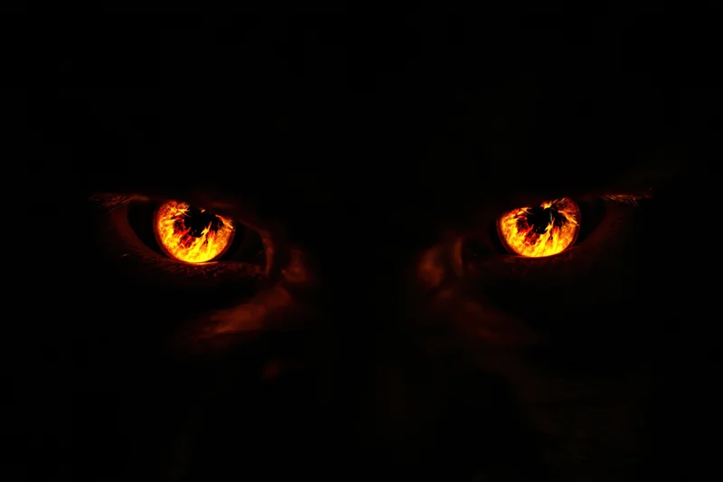 Glowing amber eyes of a cat in complete darkness, close-up view