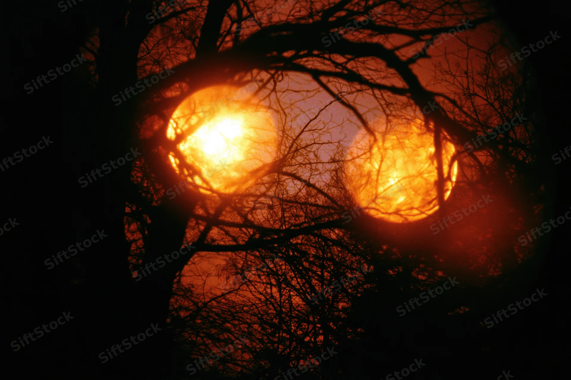 Two glowing orange orbs seen through bare tree branches at night