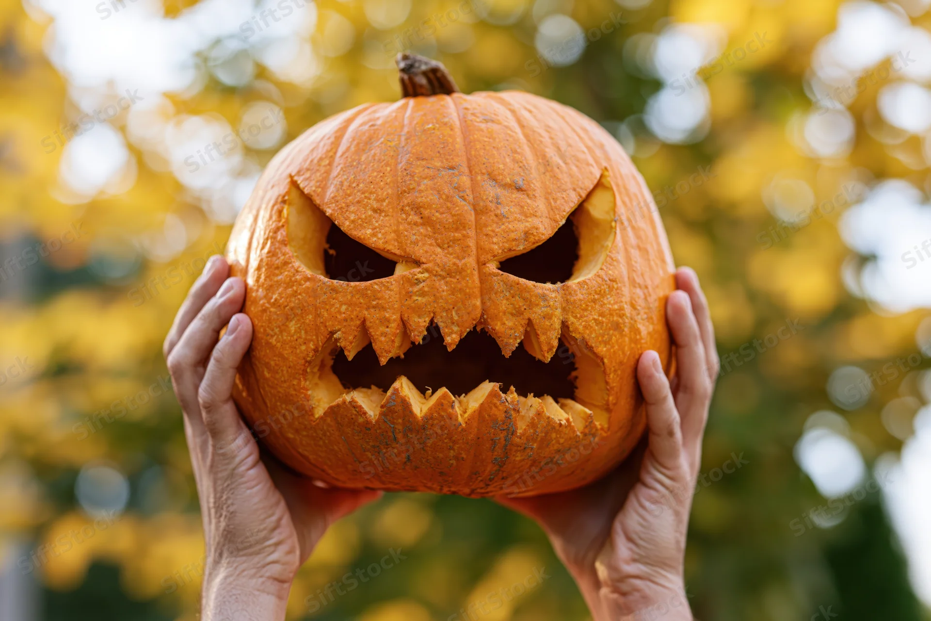 Hands holding a carved jack-o-lantern with a spooky face outdoors in autumn foliage