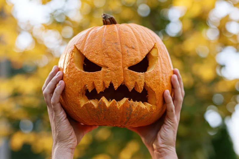 Hands holding a carved jack-o-lantern with a spooky face outdoors in autumn foliage