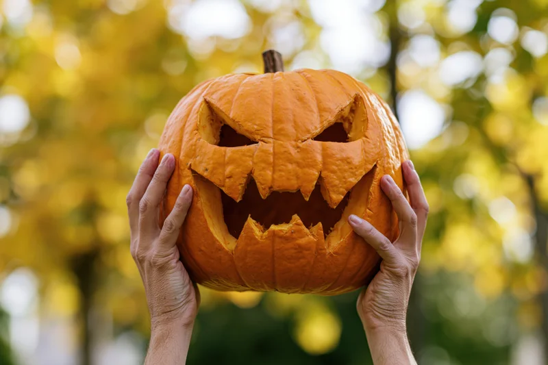 Hands holding a carved jack-o-lantern with a spooky face outdoors in autumn foliage