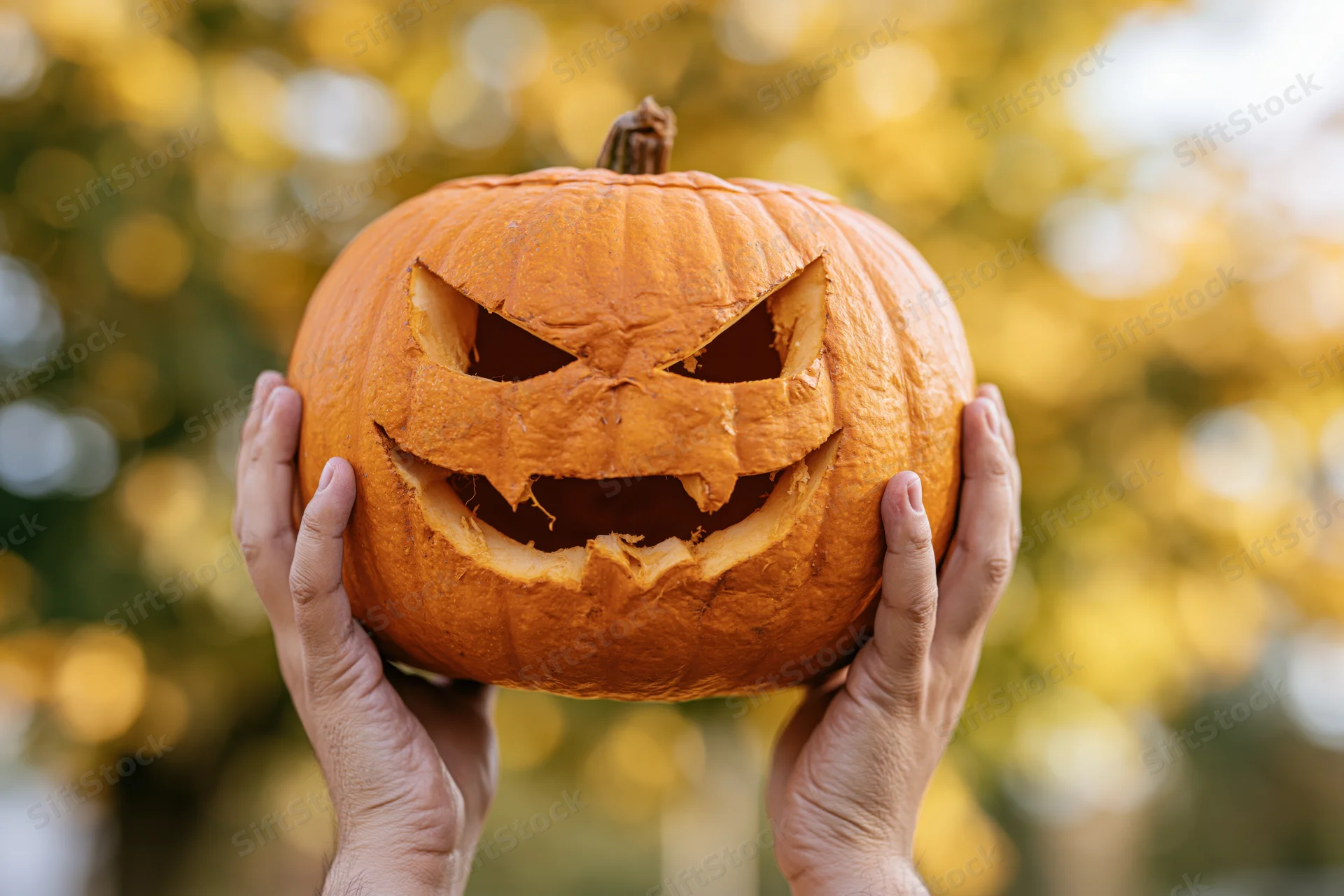 Hands holding a carved jack-o-lantern with a menacing face against a blurred autumn foliage background