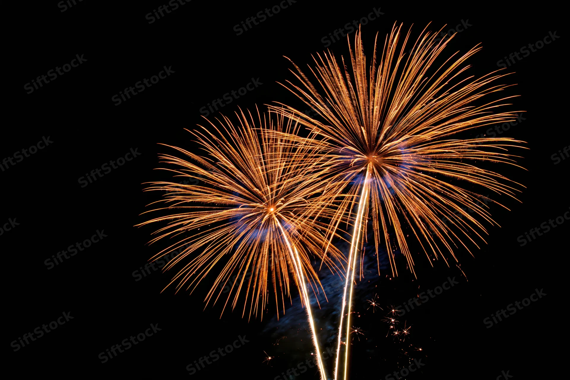 Two large gold and orange fireworks bursting simultaneously in the night sky