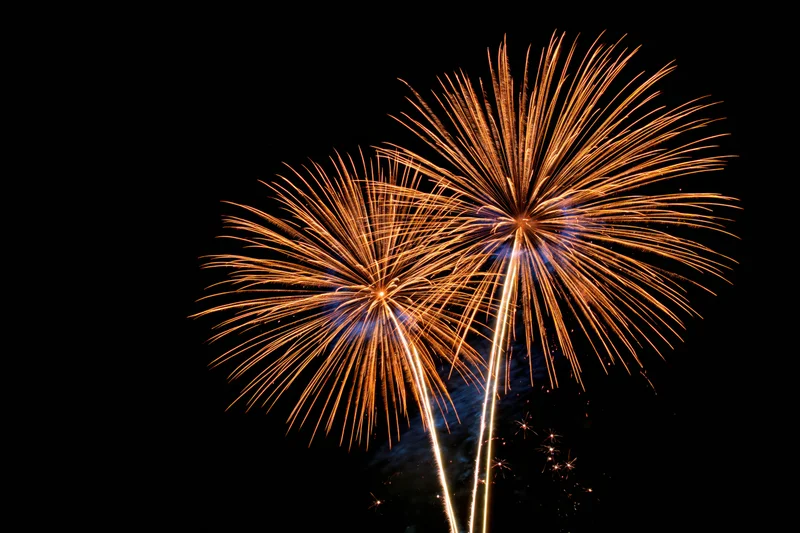 Two large gold and orange fireworks bursting simultaneously in the night sky