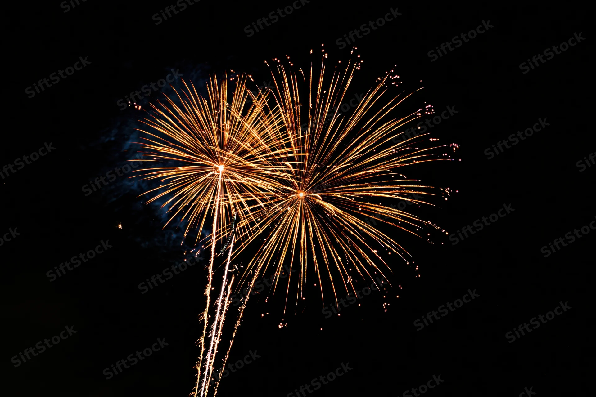 Two large gold and orange fireworks bursting simultaneously in the night sky