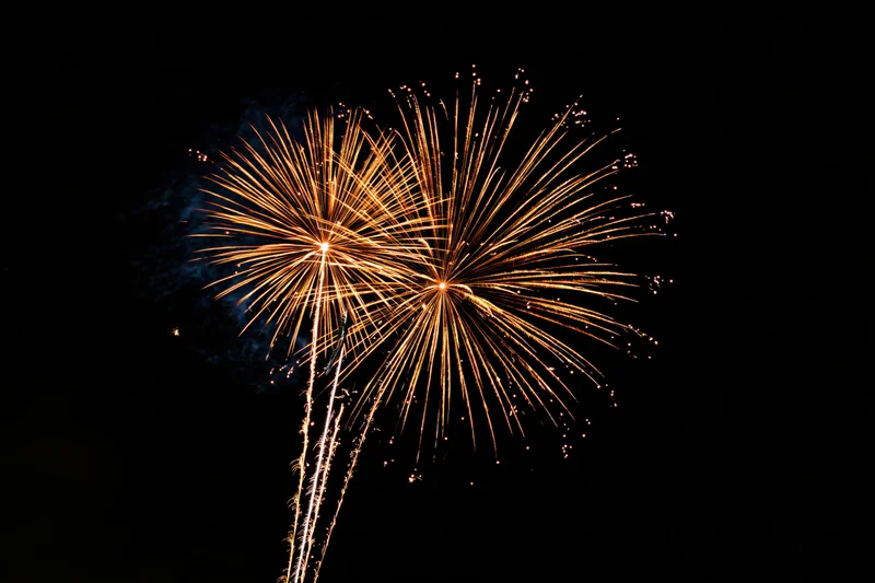 Two large gold and orange fireworks bursting simultaneously in the night sky