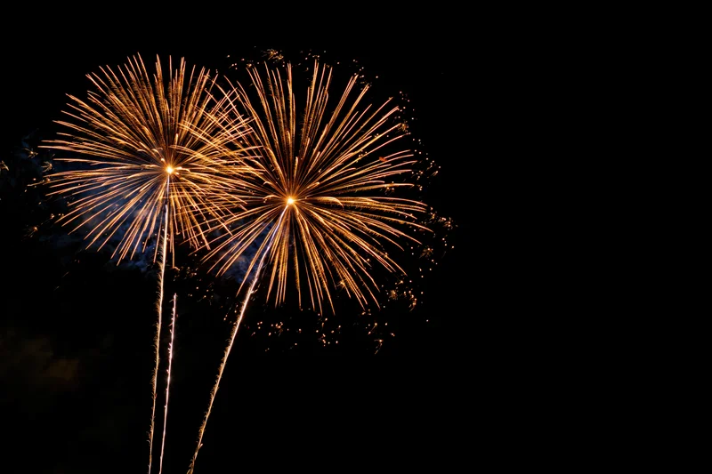 Two large gold and orange fireworks bursting simultaneously in the night sky