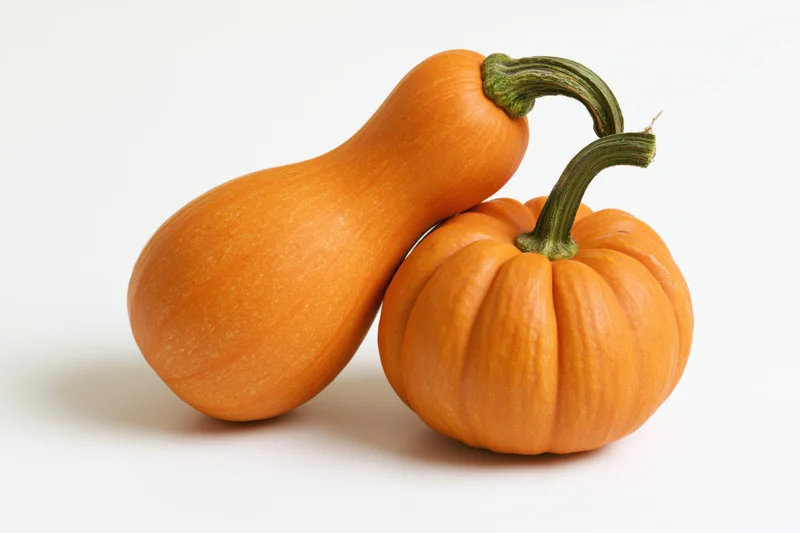 Two small orange pumpkins side by side on a white background