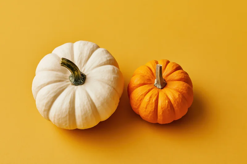 Two small decorative pumpkins side by side on a yellow surface