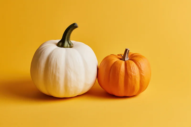Two small decorative pumpkins side by side on a yellow surface