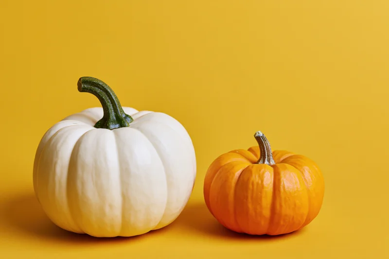 Two small decorative pumpkins side by side on a yellow surface