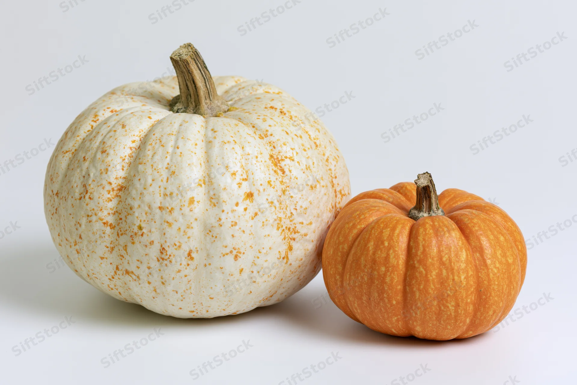 Two small pumpkins resting side by side on a plain white surface