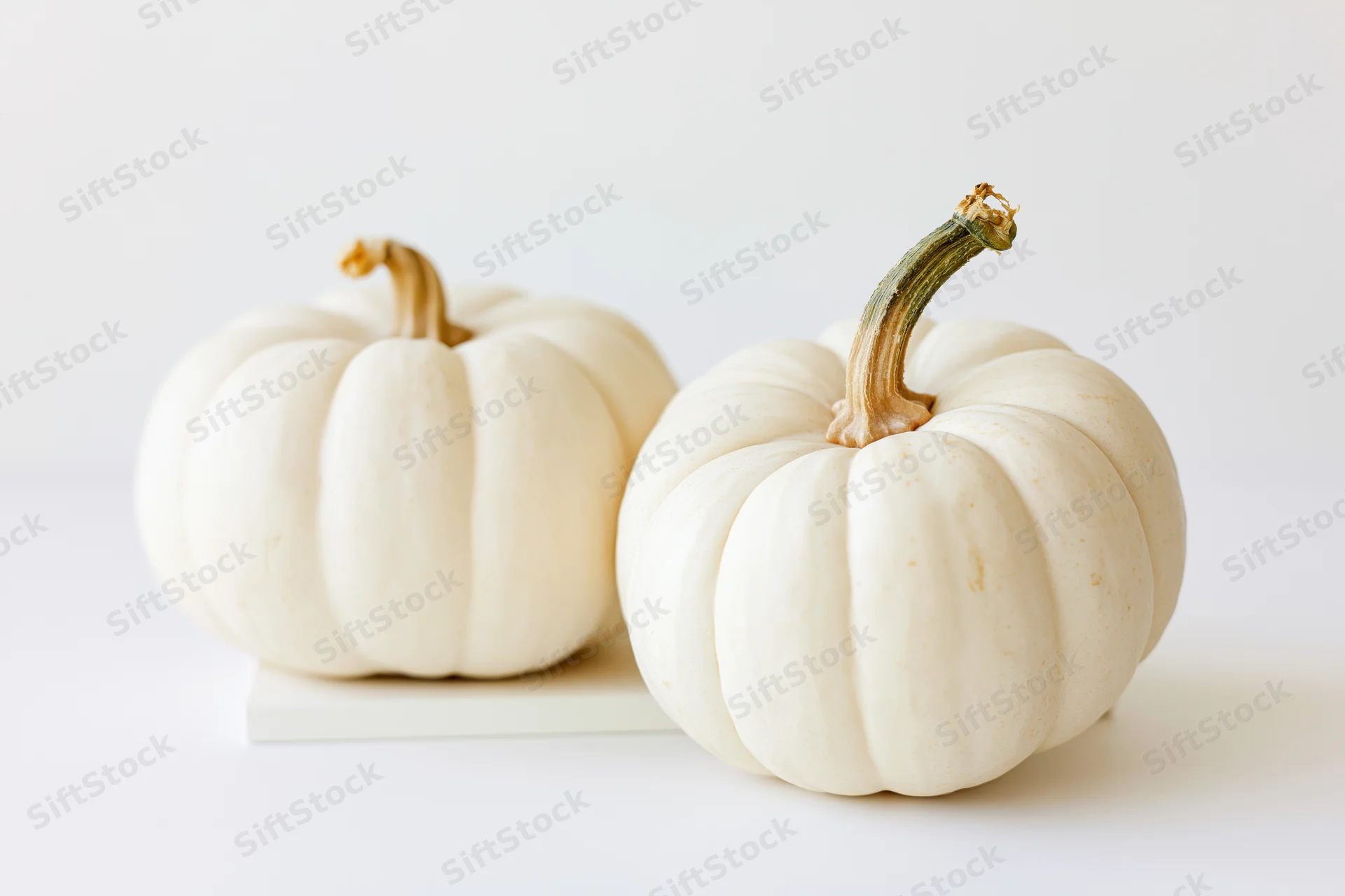Two small white pumpkins resting on a clean white surface