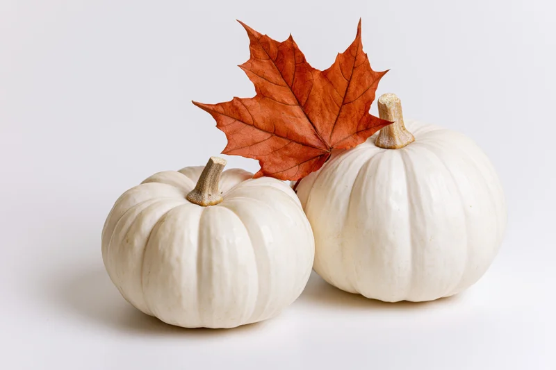Two white mini pumpkins with an orange maple leaf arranged on a white surface